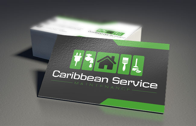 creazione logo e biglietti da visita caribbean service