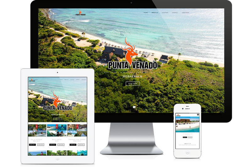 sviluppo siti web e web design a Playa del Carmen