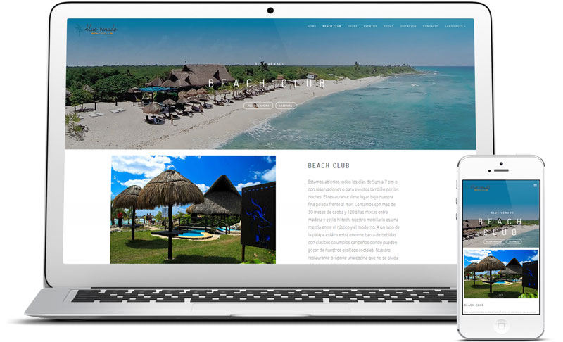 corporate website development in playa del carmen