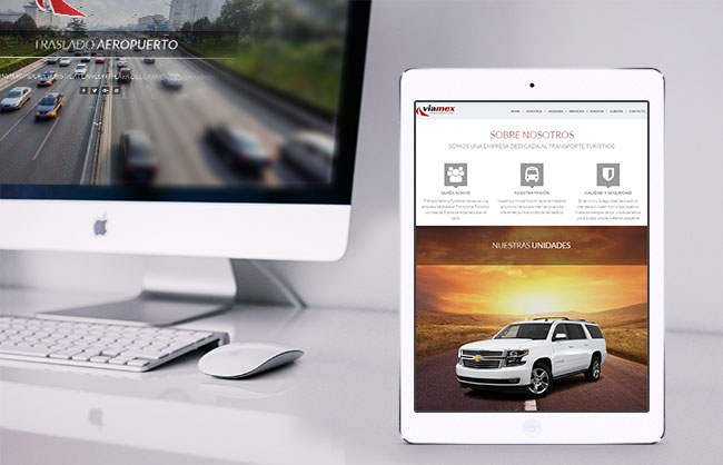 desarrollo web transportadora viamex